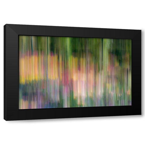 France-Giverny Abstract of flowers in Monets Garden  Black Modern Wood Framed Art Print by Jaynes Gallery
