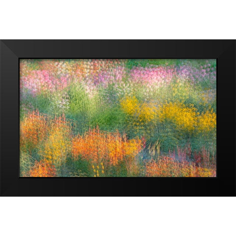 France-Giverny Impression of flowers in Monets Garden  Black Modern Wood Framed Art Print by Jaynes Gallery