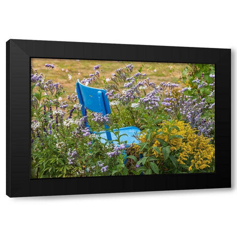 France-Haute-Vienne-Limoges Flowers and a chair in a garden in Limoges Black Modern Wood Framed Art Print by Wilson, Emily