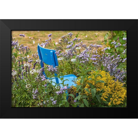 France-Haute-Vienne-Limoges Flowers and a chair in a garden in Limoges Black Modern Wood Framed Art Print by Wilson, Emily