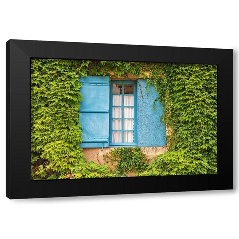 France-Dordogne-Hautefort A blue shuttered window in an ivy covered wall in the town of Hautefort Black Modern Wood Framed Art Print with Double Matting by Wilson, Emily