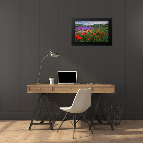 Lavender bloom near Sault in the south of France Black Modern Wood Framed Art Print by Steve Mohlenkamp