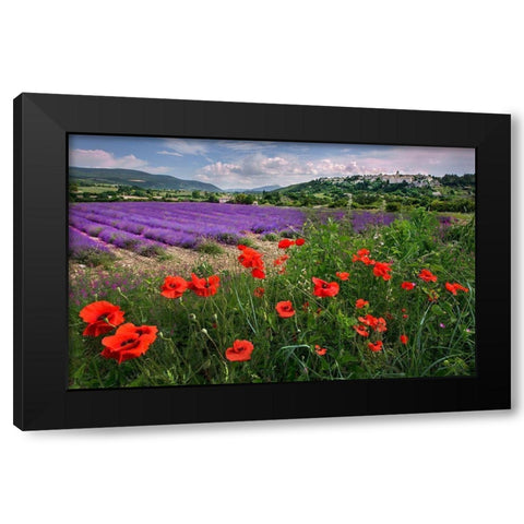 Lavender bloom near Sault in the south of France Black Modern Wood Framed Art Print by Steve Mohlenkamp