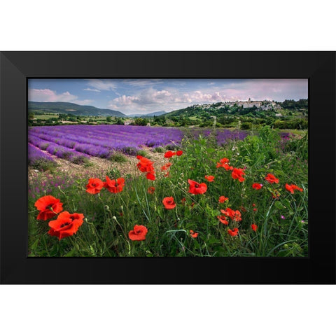 Lavender bloom near Sault in the south of France Black Modern Wood Framed Art Print by Steve Mohlenkamp