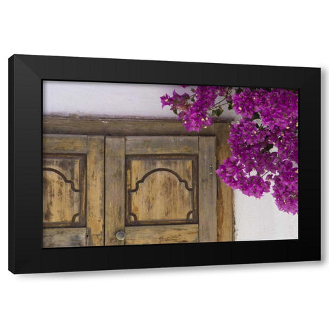 Greece, Hora Wooden doorway and bougainvillea Black Modern Wood Framed Art Print with Double Matting by Young, Bill