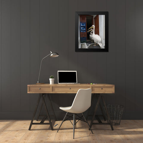 Greece, Mykonos, Hora Two pelicans in restaurant Black Modern Wood Framed Art Print by Young, Bill