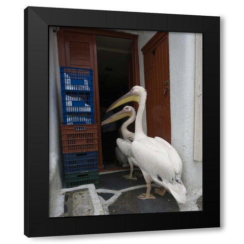 Greece, Mykonos, Hora Two pelicans in restaurant Black Modern Wood Framed Art Print by Young, Bill