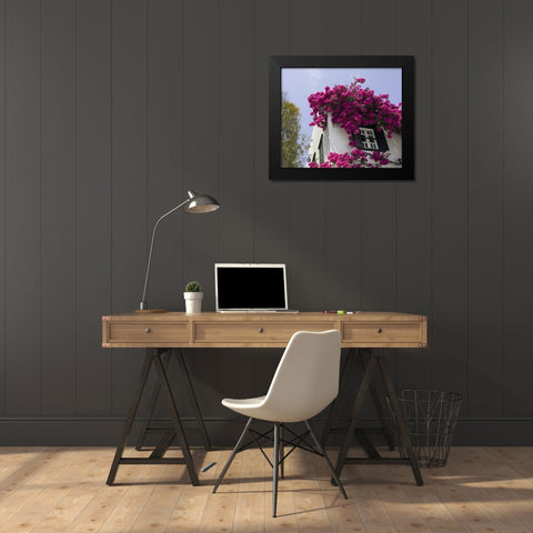 Greece, Mykonos, Hora Bougainvillea flowers Black Modern Wood Framed Art Print by Young, Bill