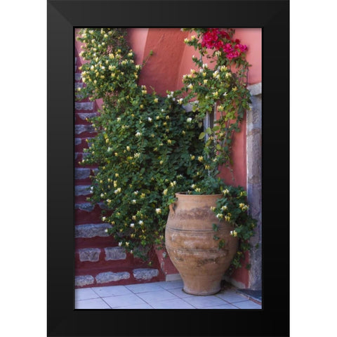 Greece, Santorini Pot with honeysuckle vine Black Modern Wood Framed Art Print by Young, Bill