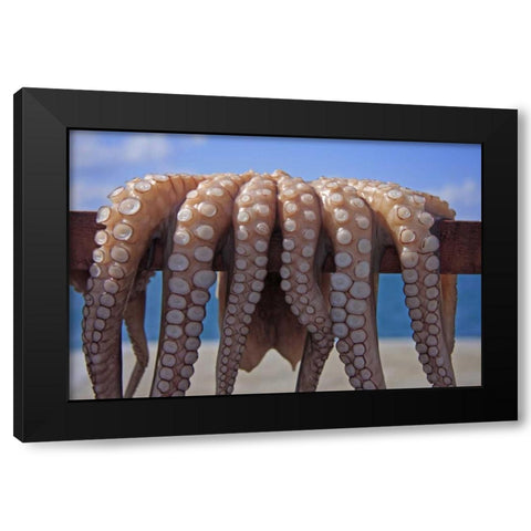 Greece, Cyclades Fresh caught octopus drying Black Modern Wood Framed Art Print by Noble Gardner, Nancy