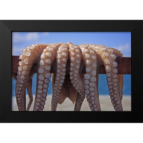 Greece, Cyclades Fresh caught octopus drying Black Modern Wood Framed Art Print by Noble Gardner, Nancy