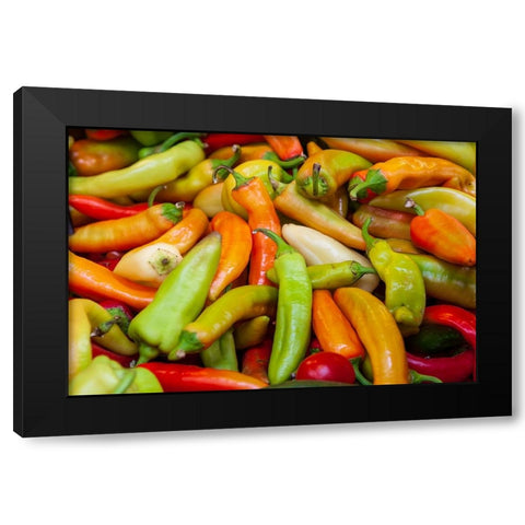 Variety of peppers Black Modern Wood Framed Art Print with Double Matting by Haseltine, Tom