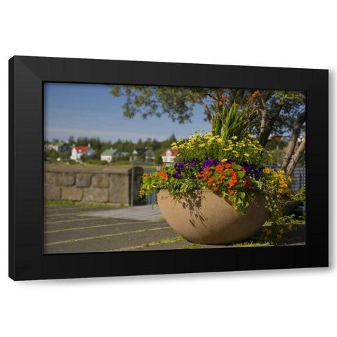 Iceland, Reykjavik A large flower-filled vase Black Modern Wood Framed Art Print by Grall, Don