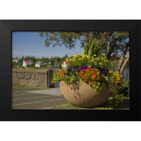 Iceland, Reykjavik A large flower-filled vase Black Modern Wood Framed Art Print by Grall, Don
