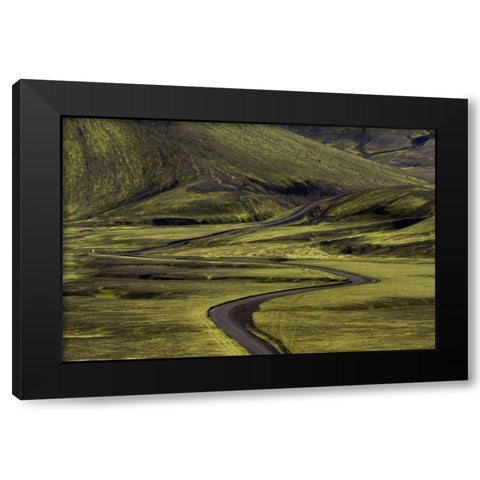 Iceland Road curves through green countryside Black Modern Wood Framed Art Print with Double Matting by Young, Bill