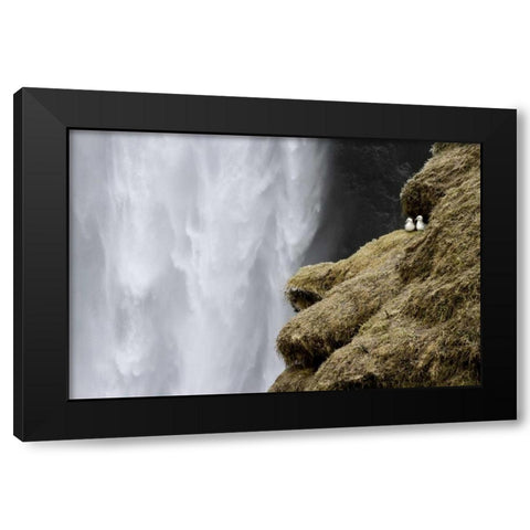 Iceland Close-up of Skogafoss waterfall Black Modern Wood Framed Art Print with Double Matting by Young, Bill