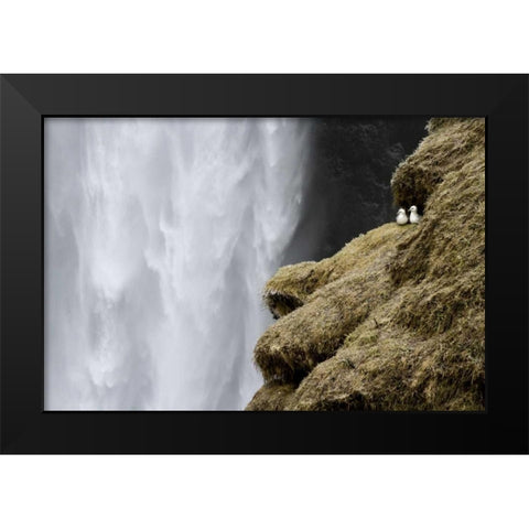Iceland Close-up of Skogafoss waterfall Black Modern Wood Framed Art Print by Young, Bill