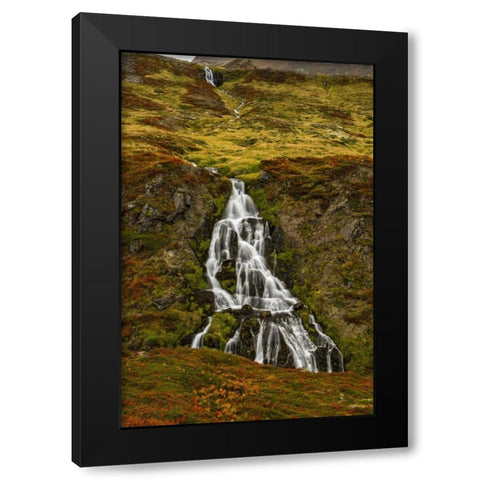 Iceland, Snaefellsnes Small waterfall and Autumn Black Modern Wood Framed Art Print by Kirkland, Dennis