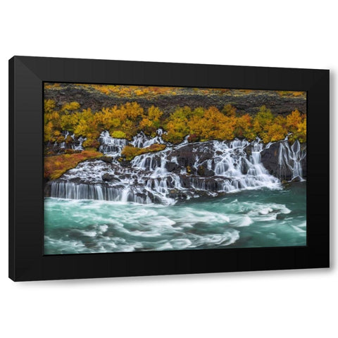 Iceland, Hraunfossar Autumn waterfalls Black Modern Wood Framed Art Print with Double Matting by Kirkland, Dennis