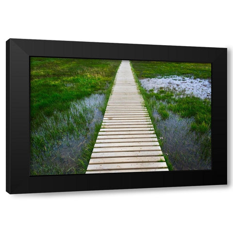 A plank pathway in Landmannalaugar-Iceland Black Modern Wood Framed Art Print with Double Matting by Su, Keren