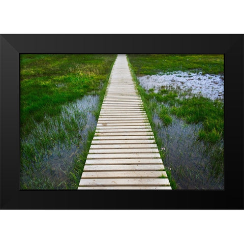 A plank pathway in Landmannalaugar-Iceland Black Modern Wood Framed Art Print by Su, Keren