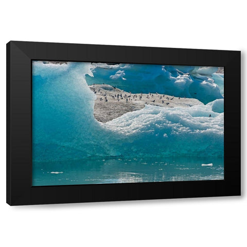 Birds on icebergs in Jokulsarlon Glacial Lagoon-Iceland Black Modern Wood Framed Art Print by Su, Keren