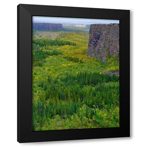 Asbyrgi canyon in Vatnajokull National Park-Iceland Black Modern Wood Framed Art Print with Double Matting by Zwick, Martin