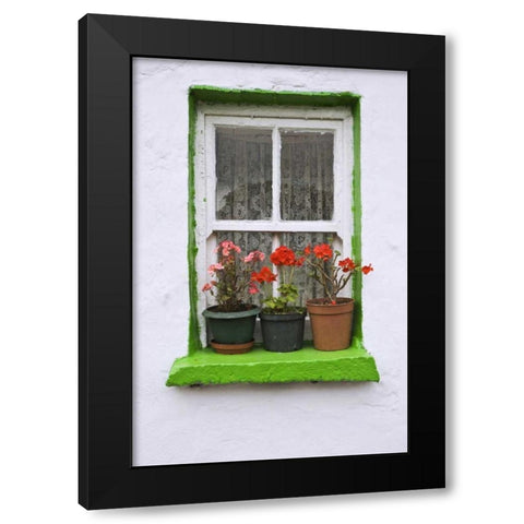 Ireland, Cashel Potted flowers on a window sill Black Modern Wood Framed Art Print with Double Matting by Flaherty, Dennis