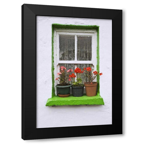 Ireland, Cashel Potted flowers on a window sill Black Modern Wood Framed Art Print by Flaherty, Dennis