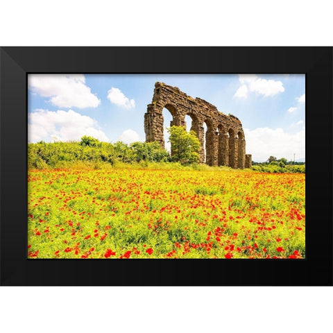 Italy-Rome Parc of the Aqueducts (Parco degli Acquedotti)-Acqua Claudio Black Modern Wood Framed Art Print by Jones, Alison