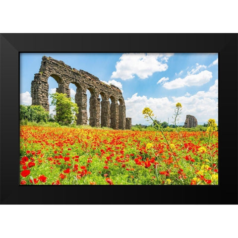 Italy-Rome Parc of the Aqueducts (Parco degli Acquedotti)-Acqua Claudio Black Modern Wood Framed Art Print by Jones, Alison