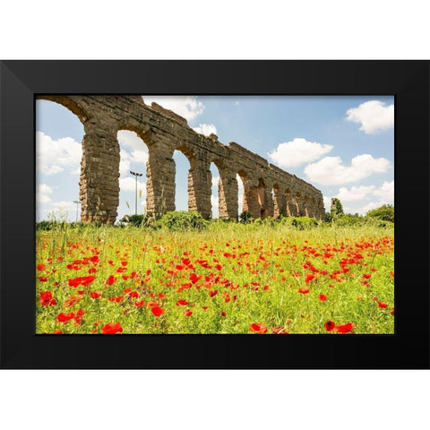 Italy-Rome Parc of the Aqueducts (Parco degli Acquedotti)-Acqua Claudio Black Modern Wood Framed Art Print by Jones, Alison