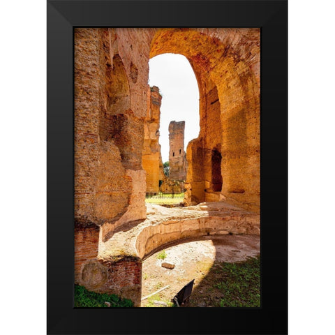 Italy-Rome Baths of Caracalla-where water supplied by new branch of Aqua Marcia  Black Modern Wood Framed Art Print by Jones, Alison