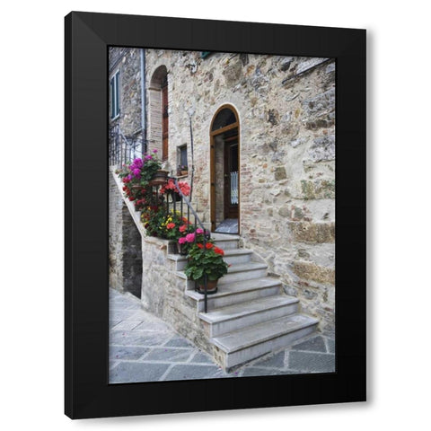 Italy, Petroio Flowers line a stairway Black Modern Wood Framed Art Print by Flaherty, Dennis