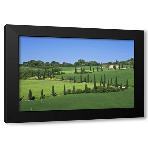 Italy, Tuscany Cypress trees line road to villa Black Modern Wood Framed Art Print by Flaherty, Dennis