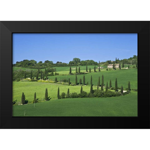 Italy, Tuscany Cypress trees line road to villa Black Modern Wood Framed Art Print by Flaherty, Dennis