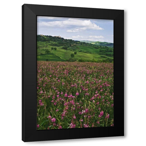 Italy, Pienza Medieval town seen on hilltop Black Modern Wood Framed Art Print with Double Matting by Flaherty, Dennis