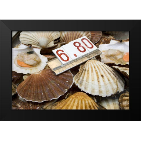 Italy, Venice Scallops for sale in the market Black Modern Wood Framed Art Print by Kaveney, Wendy