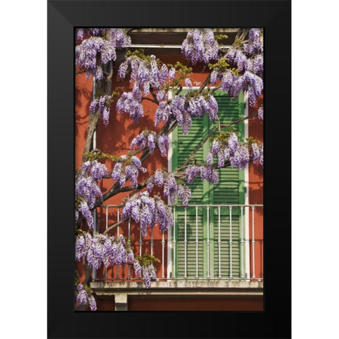 Italy, Varenna Flowers grow over front of house Black Modern Wood Framed Art Print by Flaherty, Dennis