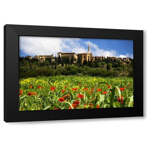 Italy, Poppies bloom below Pienza village Black Modern Wood Framed Art Print by Flaherty, Dennis