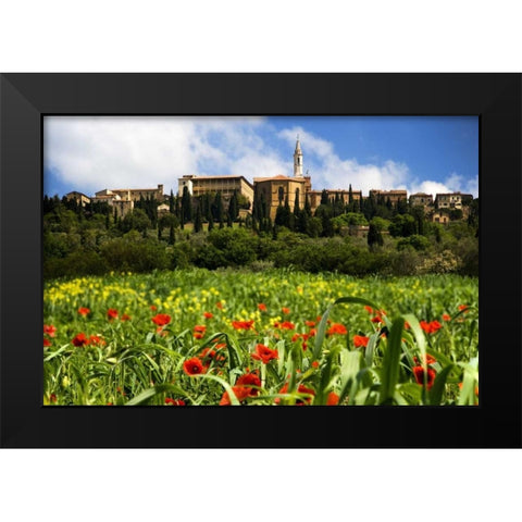 Italy, Poppies bloom below Pienza village Black Modern Wood Framed Art Print by Flaherty, Dennis