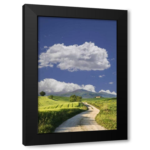 Italy, Tuscany Road leading to a villa Black Modern Wood Framed Art Print with Double Matting by Flaherty, Dennis