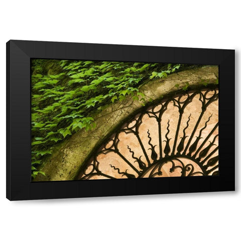 Italy, Tuscany Celsa Castle window detail Black Modern Wood Framed Art Print with Double Matting by Bush, Marie