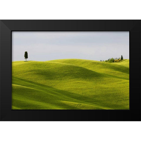Italy, Tuscany Cypress tree and wheat fields Black Modern Wood Framed Art Print by Bush, Marie