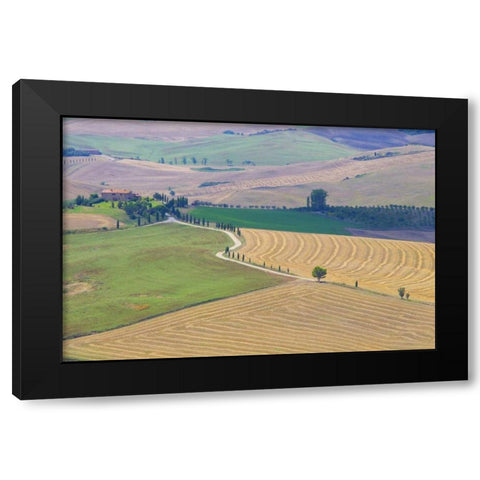 Italy, Tuscany, Pienza Tuscan landscape Black Modern Wood Framed Art Print with Double Matting by Delisle, Gilles