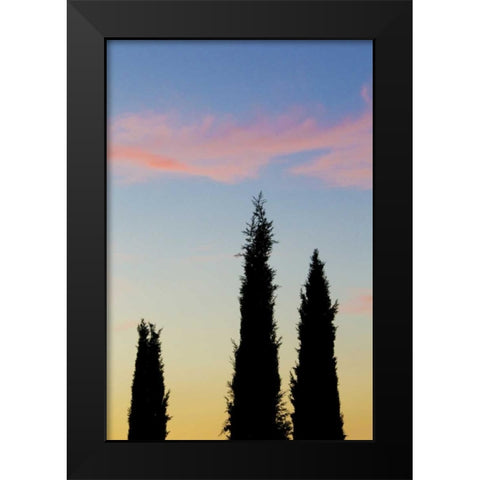 Italy, Orvieto Cypress trees and cloud at sunset Black Modern Wood Framed Art Print by Delisle, Gilles