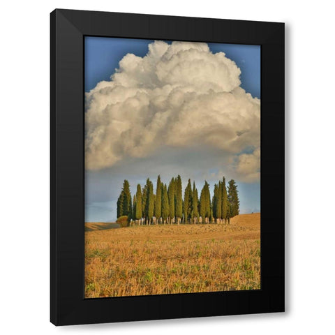 Italy, Tuscany Cypress grove and cloud formation Black Modern Wood Framed Art Print by Delisle, Gilles