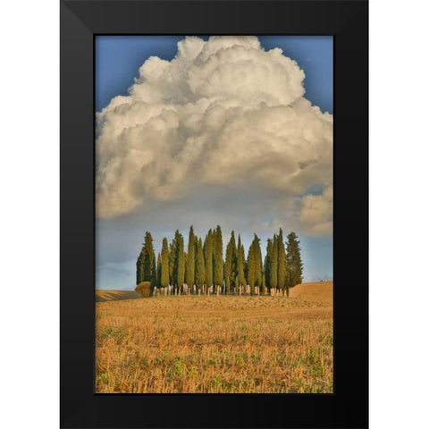 Italy, Tuscany Cypress grove and cloud formation Black Modern Wood Framed Art Print by Delisle, Gilles