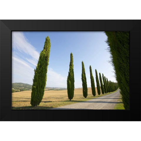 Italy, Tuscany Road and cypress trees Black Modern Wood Framed Art Print by Delisle, Gilles