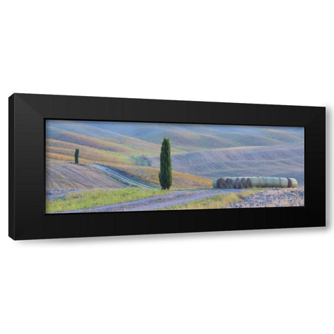 Italy, Tuscany Hay bales and farmland Black Modern Wood Framed Art Print with Double Matting by Delisle, Gilles